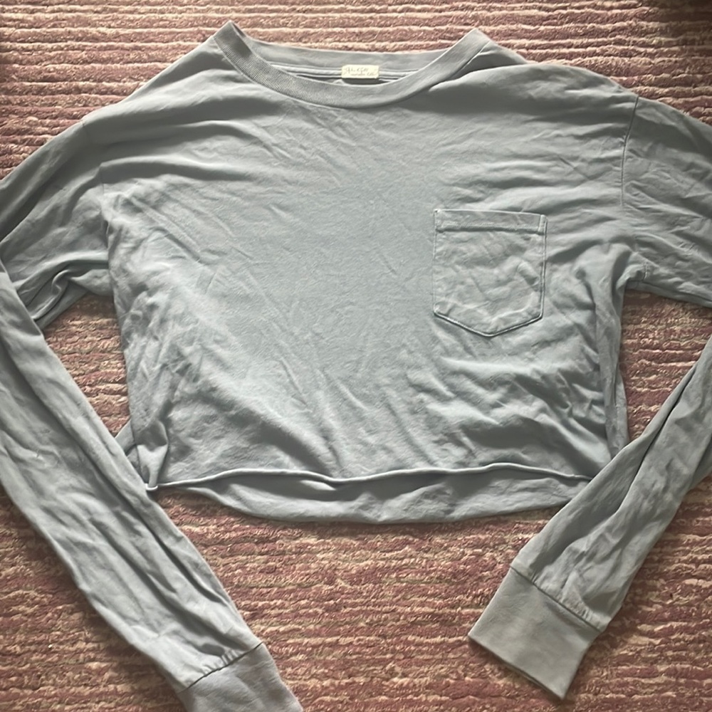 Brandy Melville cropped long sleeve